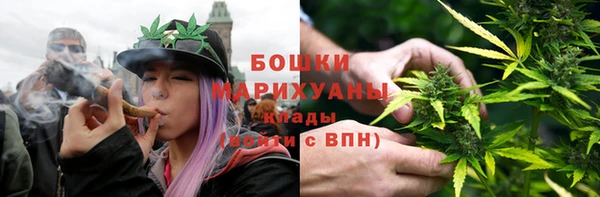МДПВ Нея