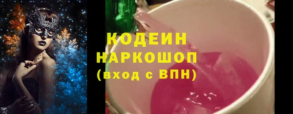 МДПВ Нея