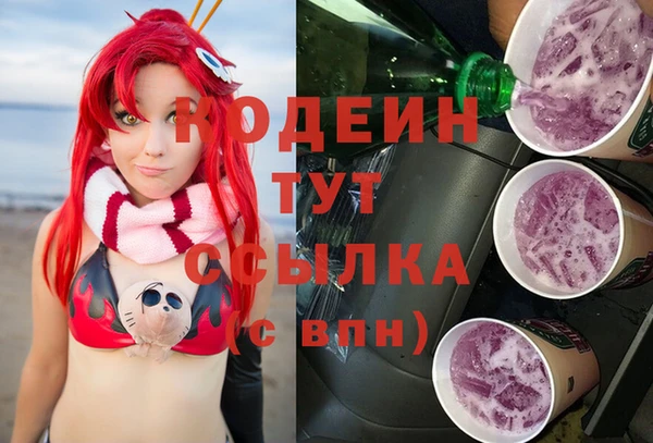 МДПВ Нея